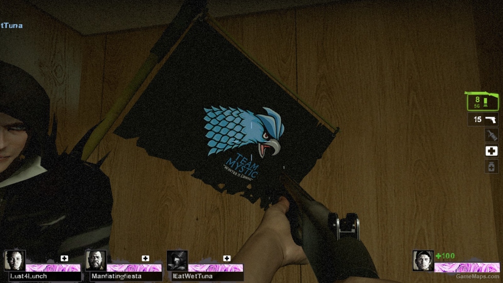 team mystic flag
