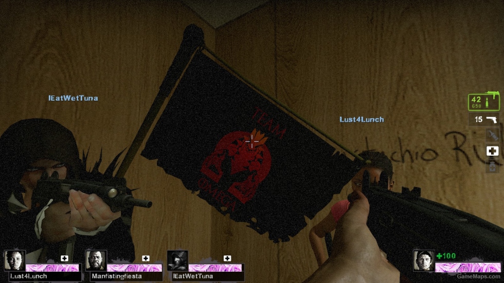 team omega flag