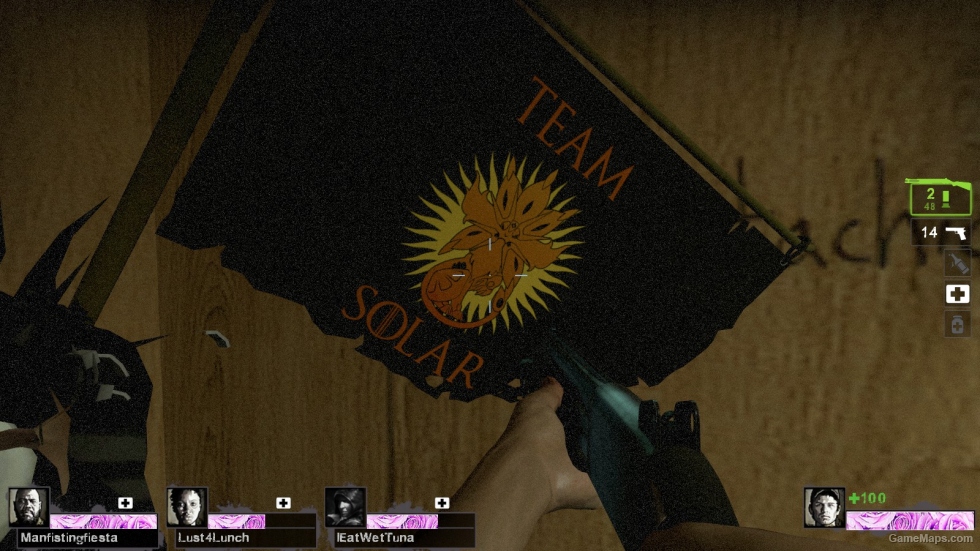team solar flag