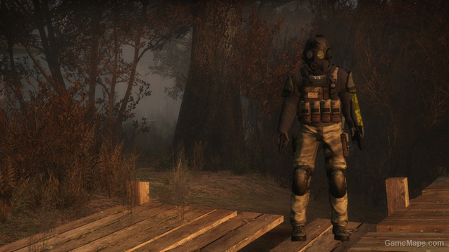 The BSAA [L4D2 Survivors]