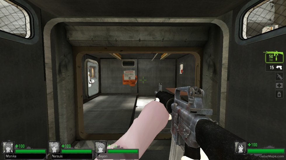 The Last Stand Weapons Skins