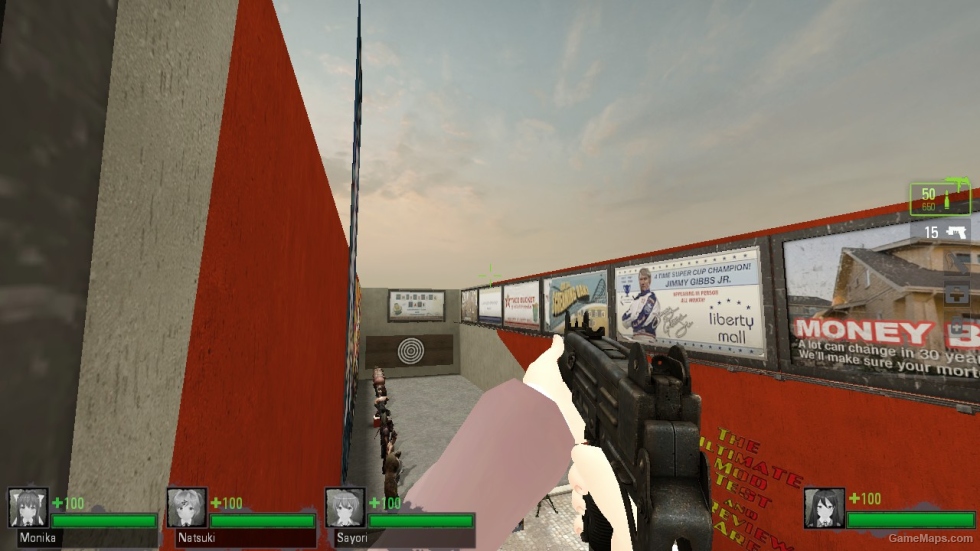 The Last Stand Weapons Skins