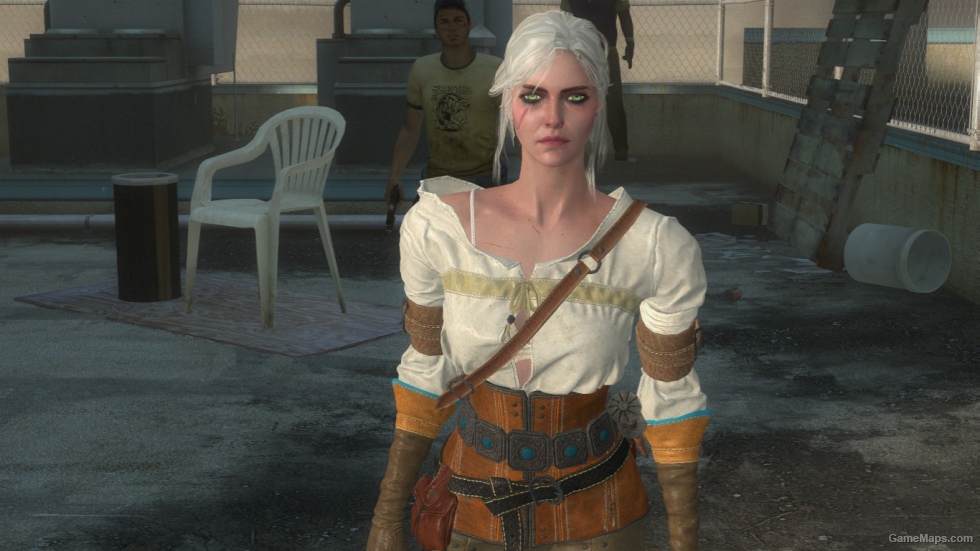 The Witcher 3 Cirilla(Rochelle)