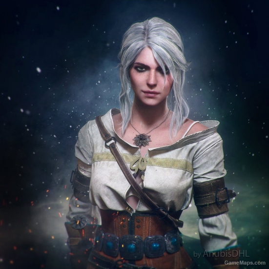 The Witcher 3 Cirilla(Rochelle)