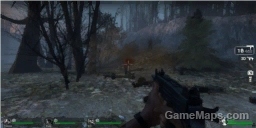 The Woods