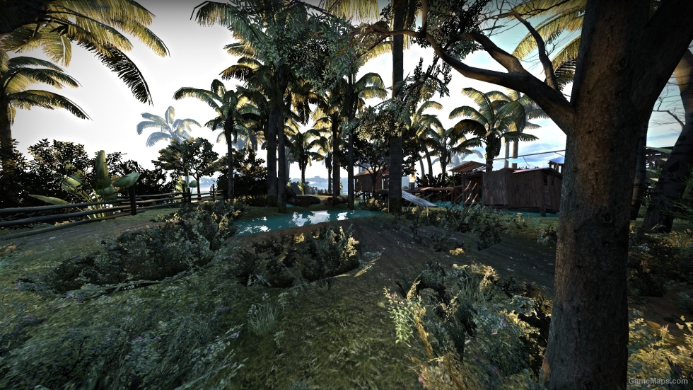 Tidal Fever