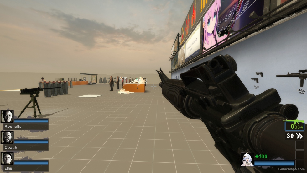 Tigg's M16 (Desert Rifle)