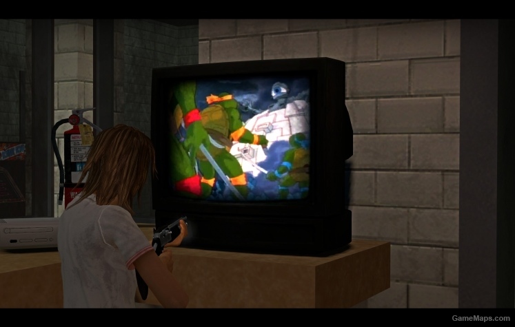 TMNT intro on TV