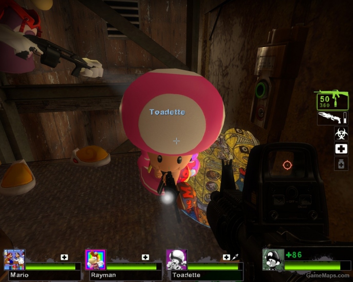 Toadette Survivor (Rochelle)