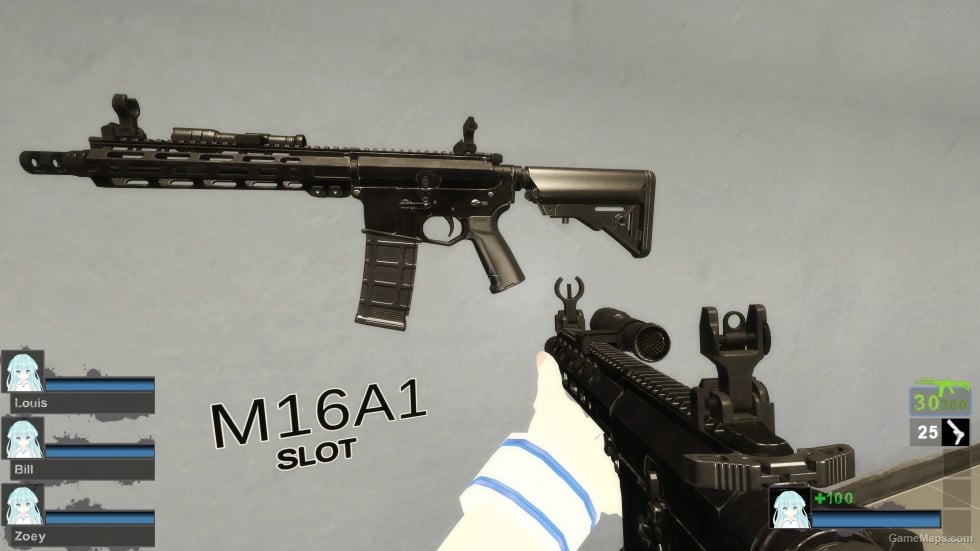 TX15 MPC SBR (M16A2) black Skin