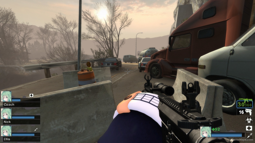 TX15 MPC SBR (M16A2) black Skin (Mod) for Left 4 Dead 2