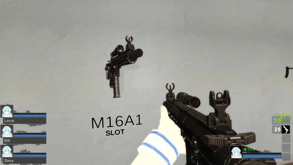 TX15 MPC SBR (M16A2) black Skin (Mod) for Left 4 Dead 2