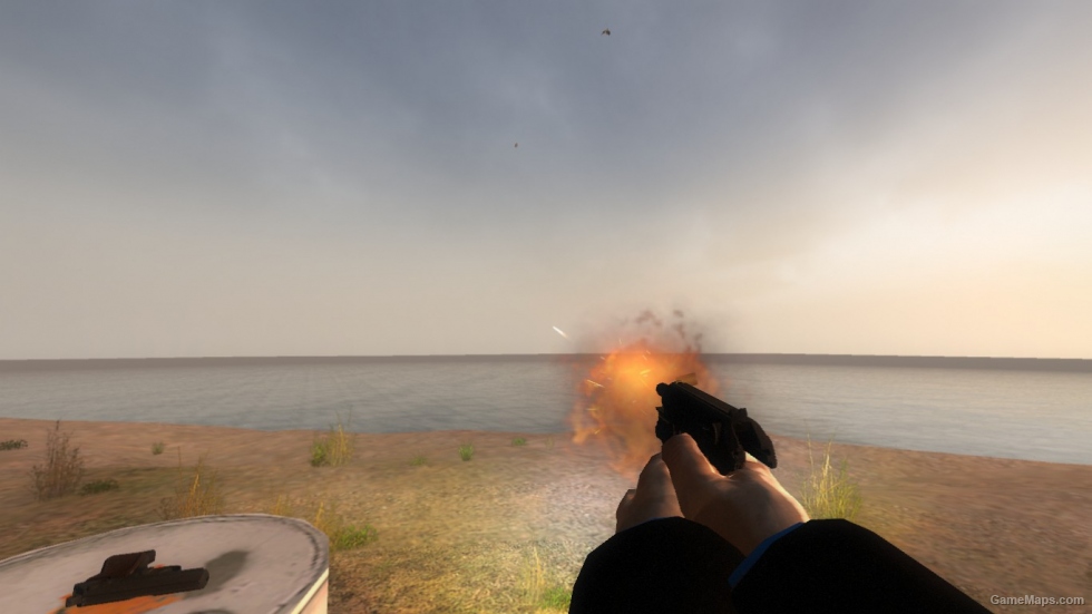 Walther PPK - KF2 Animation