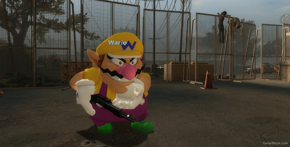 Wario Over Coach