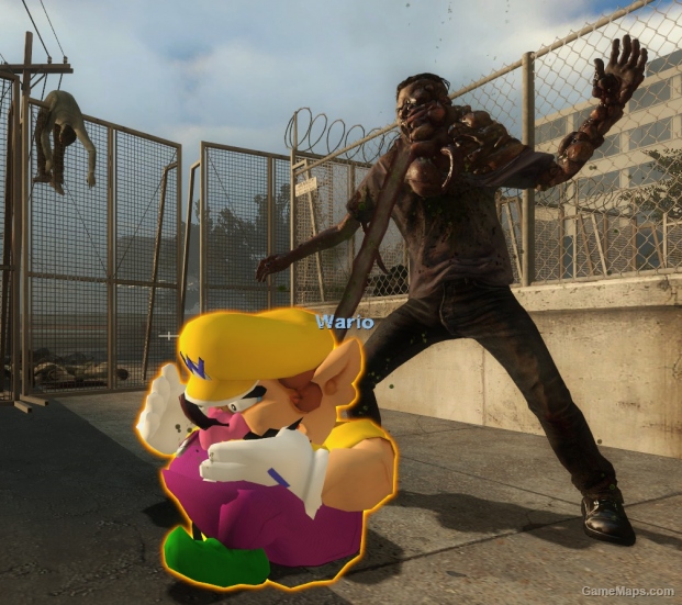 Wario Over Coach