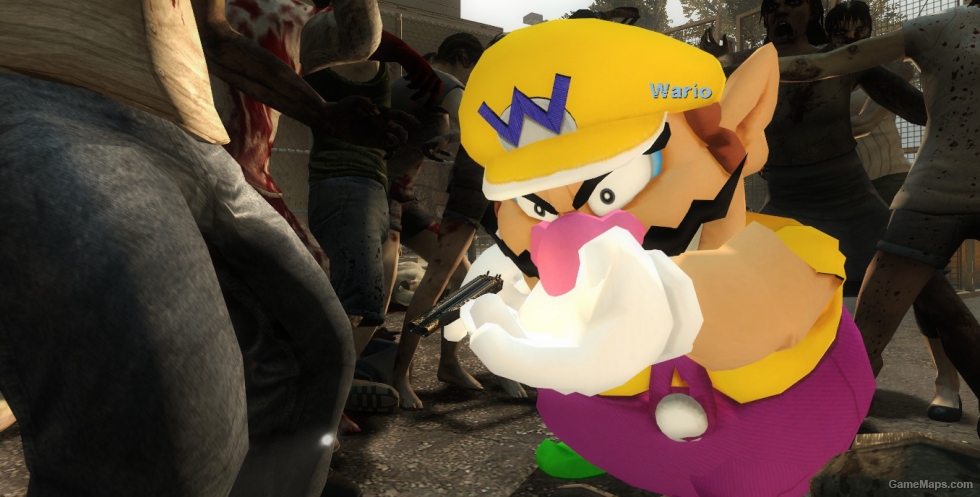 Wario Over Coach