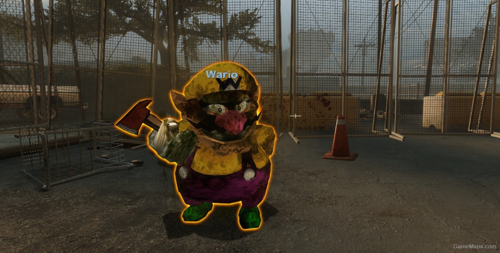Wario Over Coach