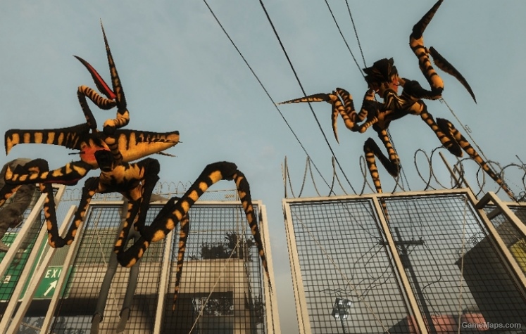 Warrior Bugs