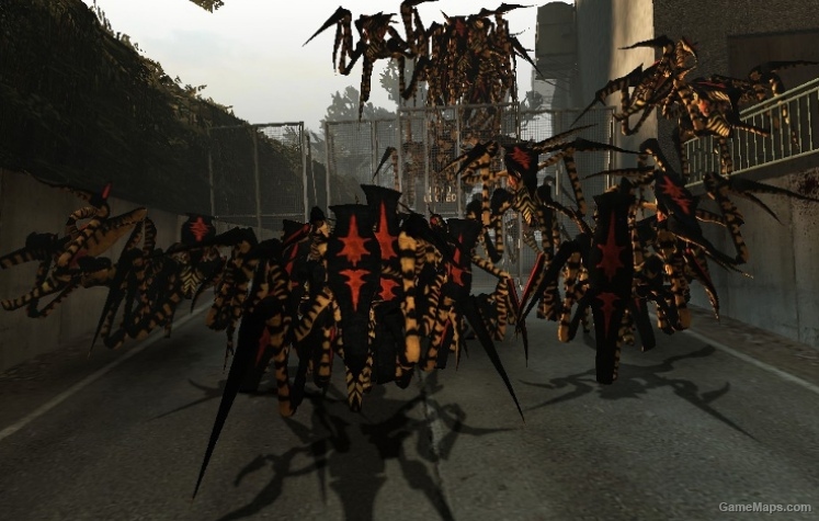 Warrior Bugs