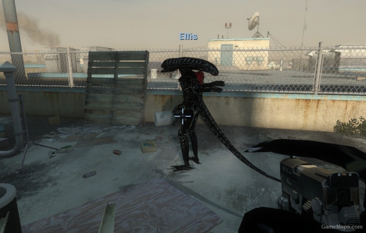 Xenomorph (Ellis)
