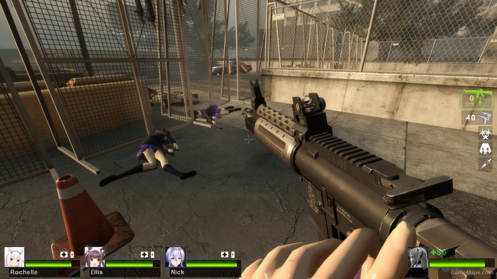 Z-M LR 300 (M16A2)