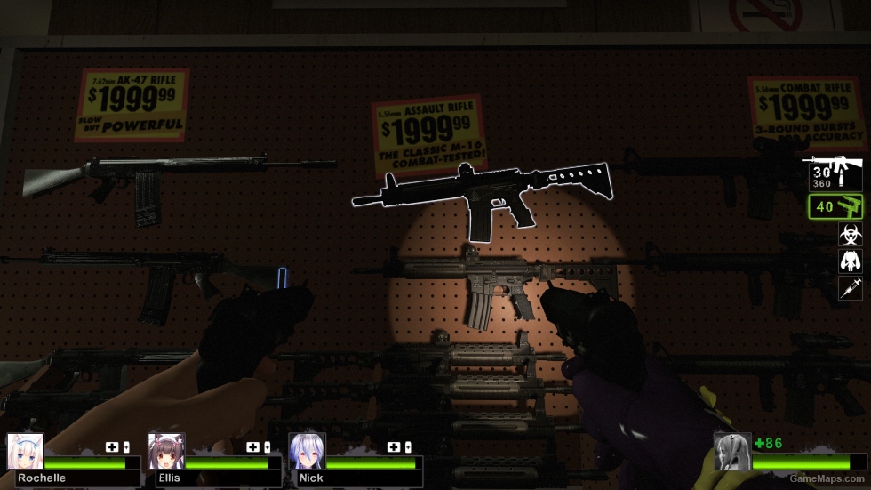 Z-M LR 300 (M16A2)
