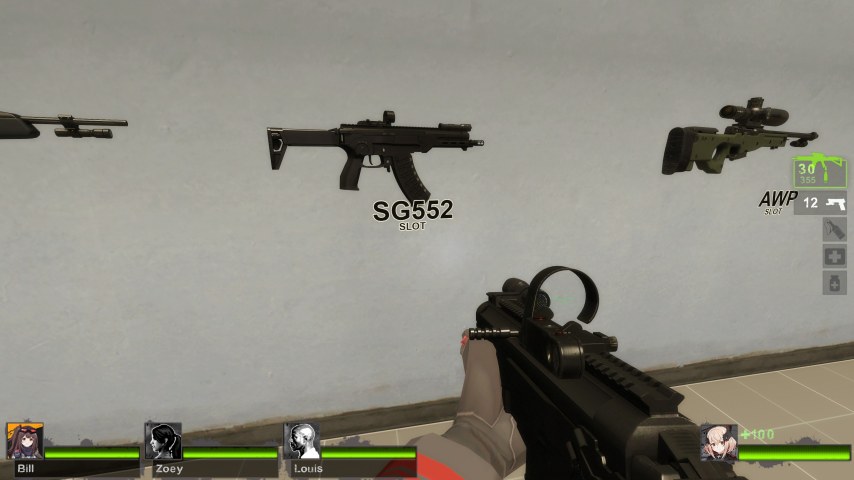 AM-17 (sg552) [Request]