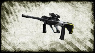 CS:GO AUG | Torque