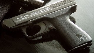 Light: Pistol whit Magnum power