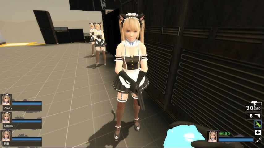 Only DOAXVV Marie Rose Whimsical Nyan Maid nht (request)