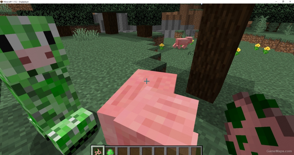 Mo pigs