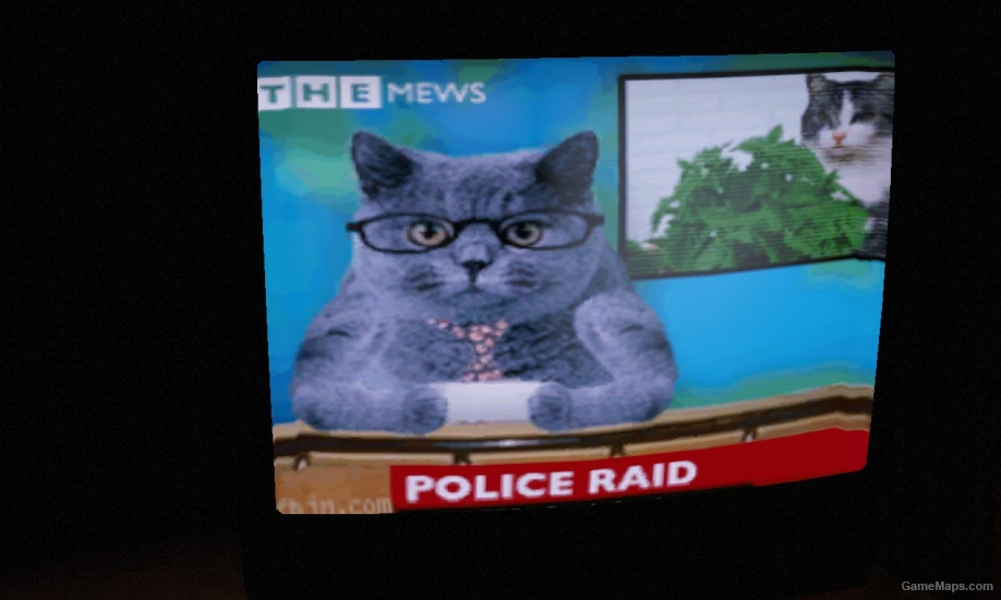 Cat News
