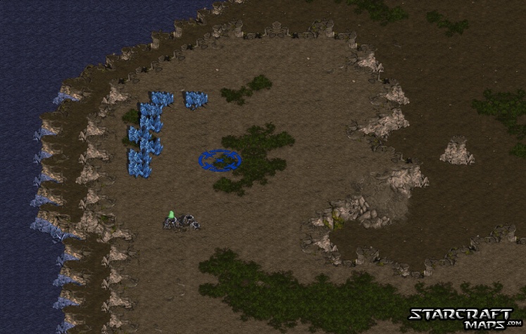 Evolution Predators