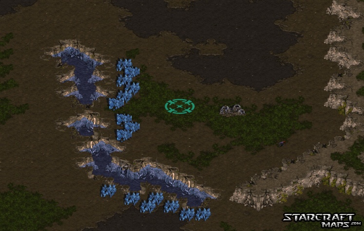 Jungle Story