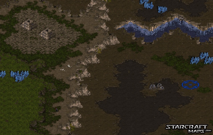 Jungle Story