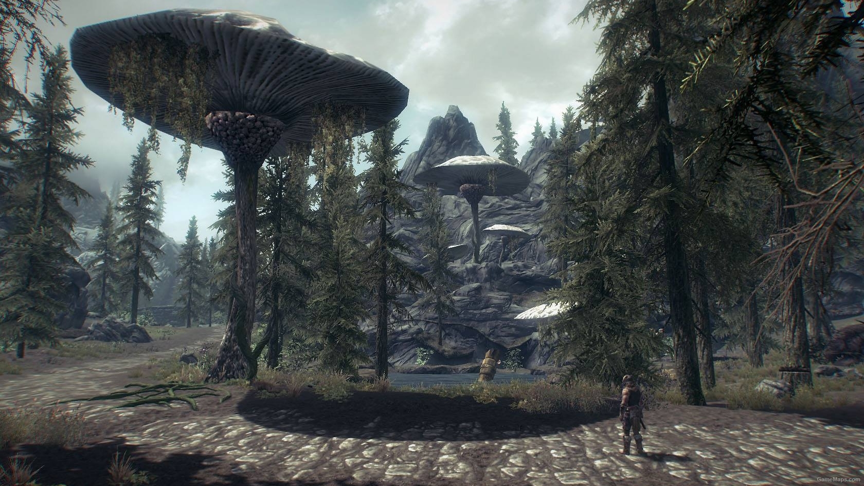 Змеиный зуб скайрим. Wyrmstooth map. Змеиный зуб скайрим. Skyrim клык вирма. Пещера сломанный клык скайрим.