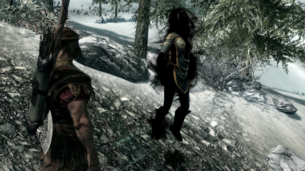 Amazing follower tweaks mod for skyrim gamemaps