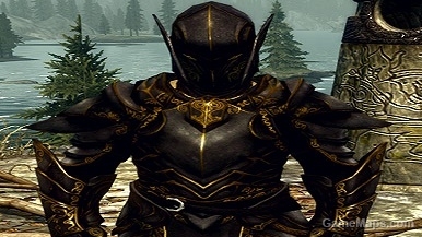 Armor Ebony Gold Male