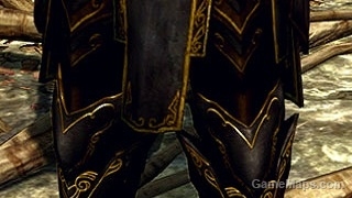 Armor Ebony Gold Male