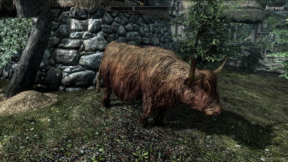Skyrim Creatures Project