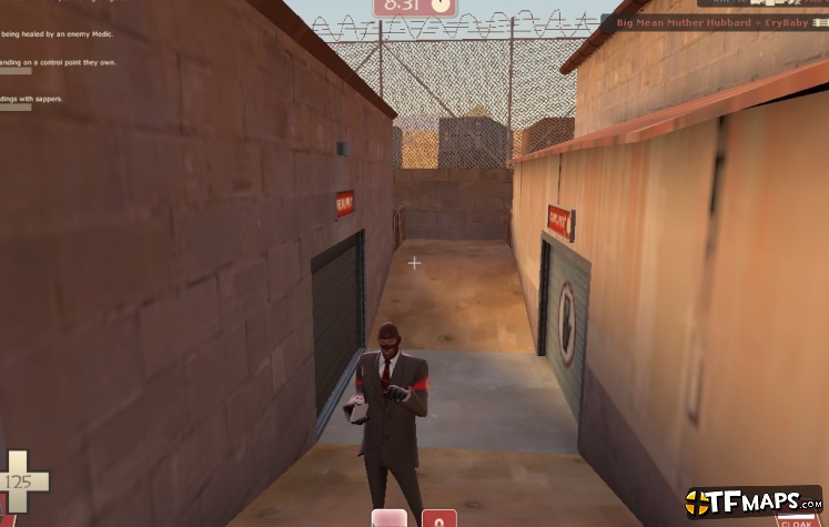 Beta Style Spy