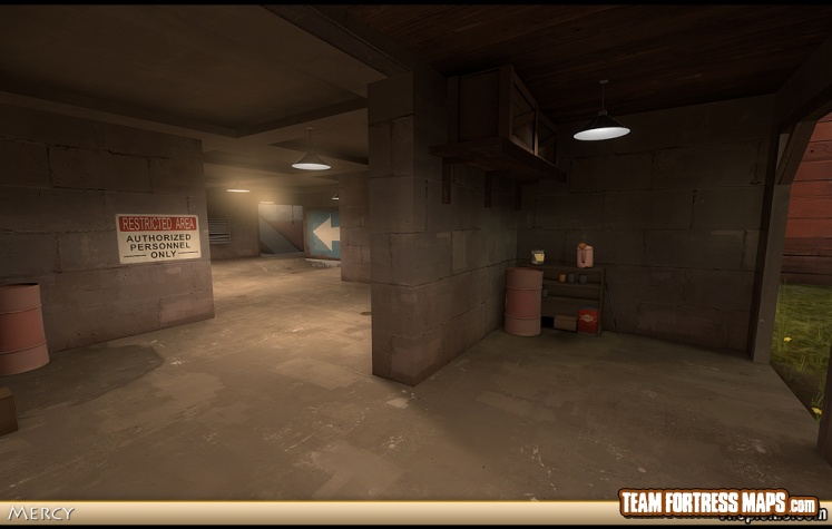 ctf_mercy