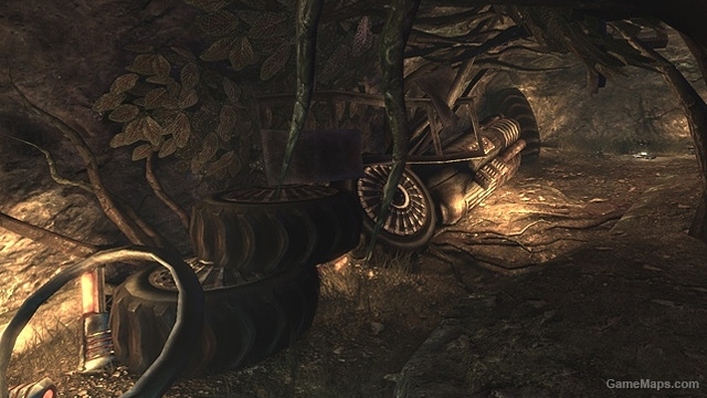 DM-Worm