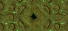 Corrupted Oasis