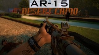 AR-15 Desert Camo