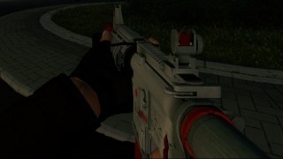 Canadian AR-15
