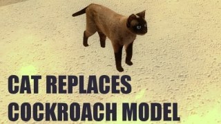 Cat model replacement for the cockroach