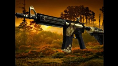 M4A4 The Coalition