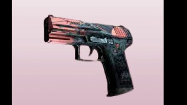 P2000 Gnarled