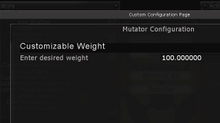 Customizable Weight